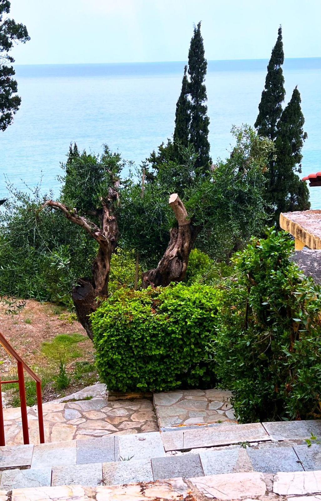 Stefanos Apartments By Sv Alians Agios Gordios  Zewnętrze zdjęcie